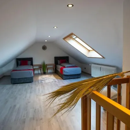 Serviceroom24 - 4 In Wlan - Smart-tv - 24-7 Check-in Und Kueche Apartament *